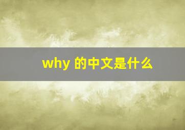 why 的中文是什么